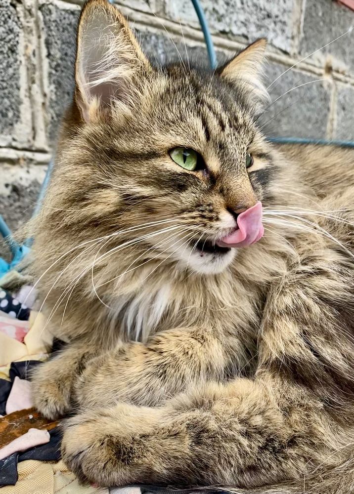 Photograph by Виктория Лаур