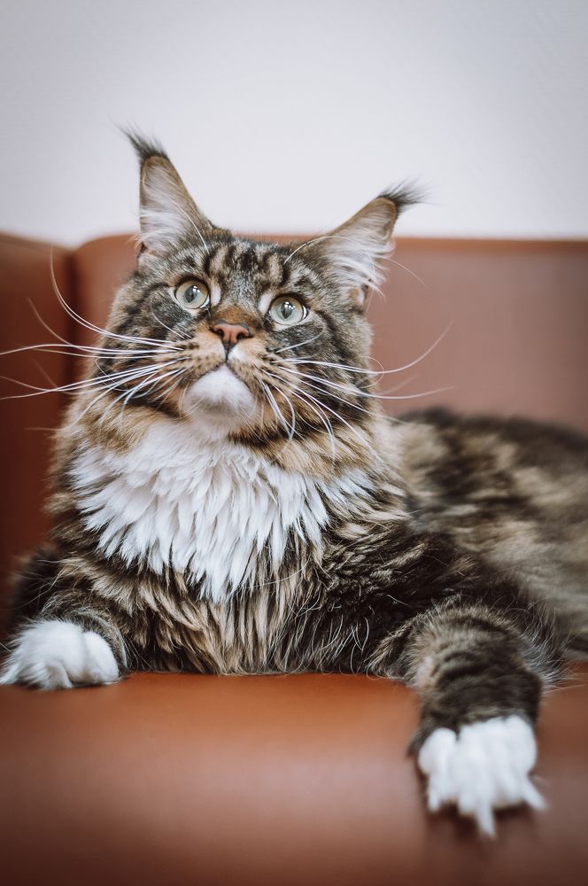 Photograph by Ксения Хачатурова