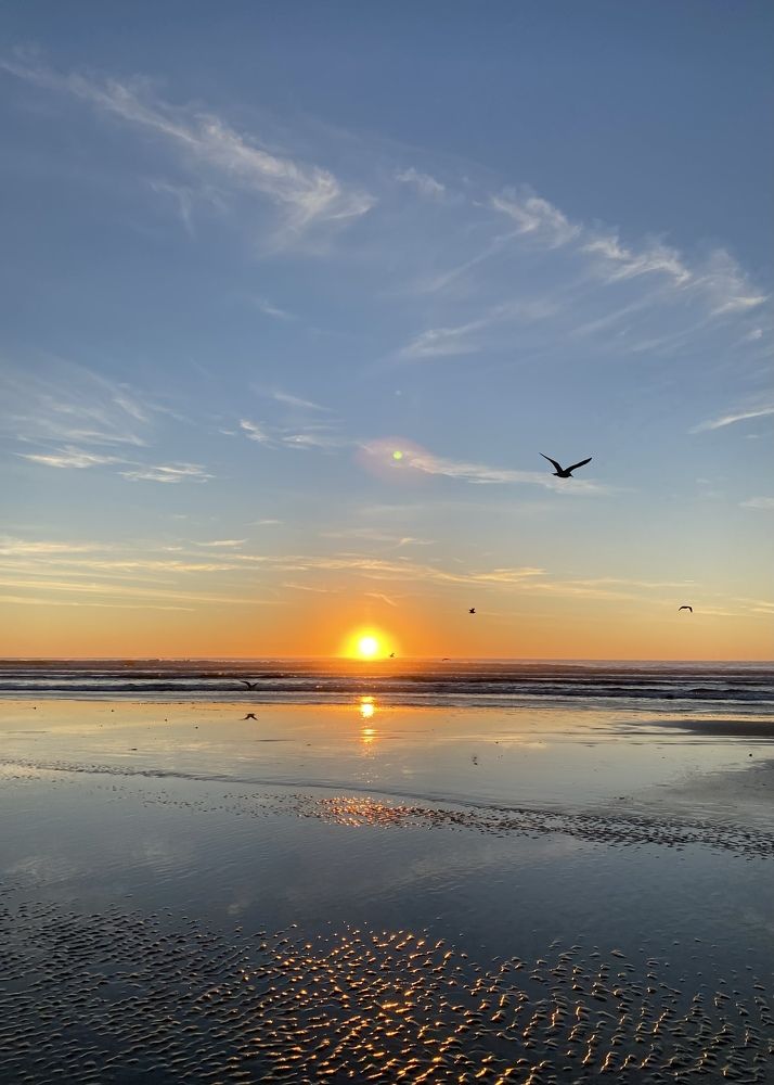 Photograph by Anna Vlasova