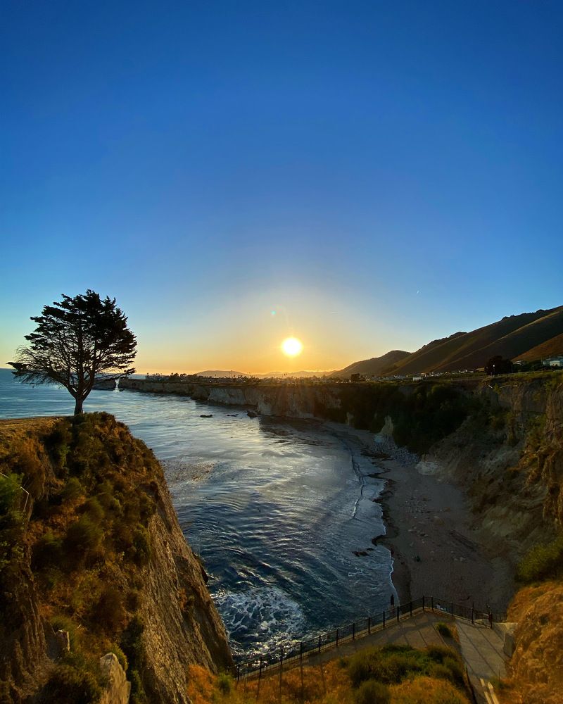 Photograph by Anna Vlasova