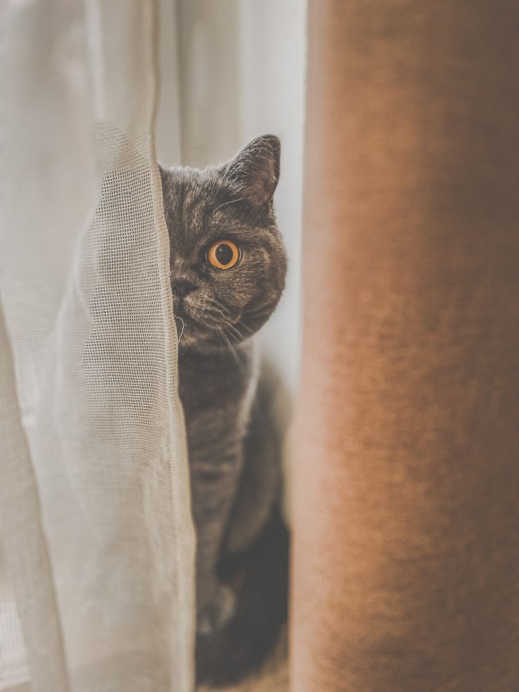 Photograph by Виктория Лаур