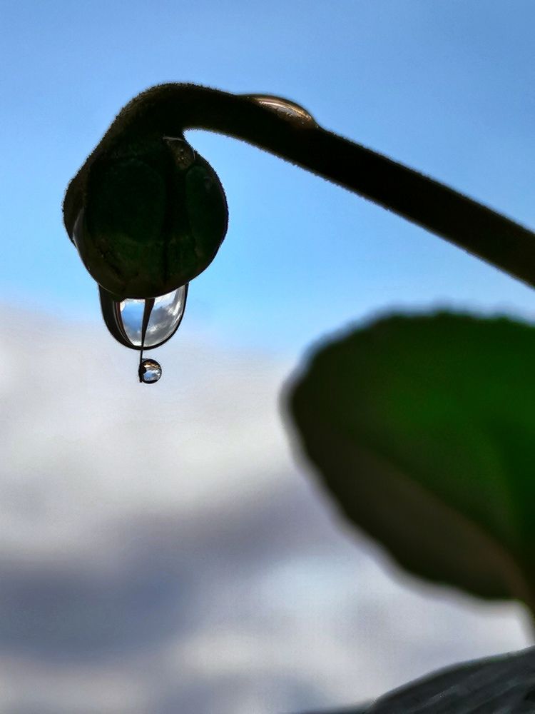 Цветочный фонарь