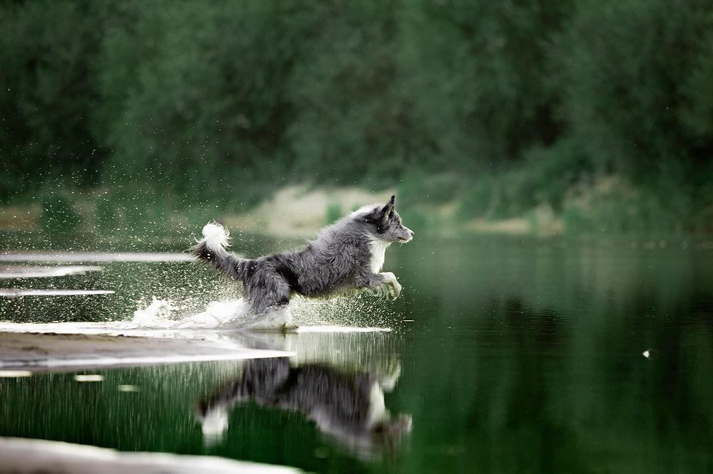 Photograph by Регина Гущина