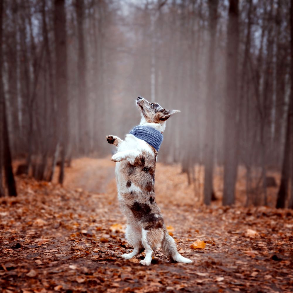 Фотография автора Регина Гущина