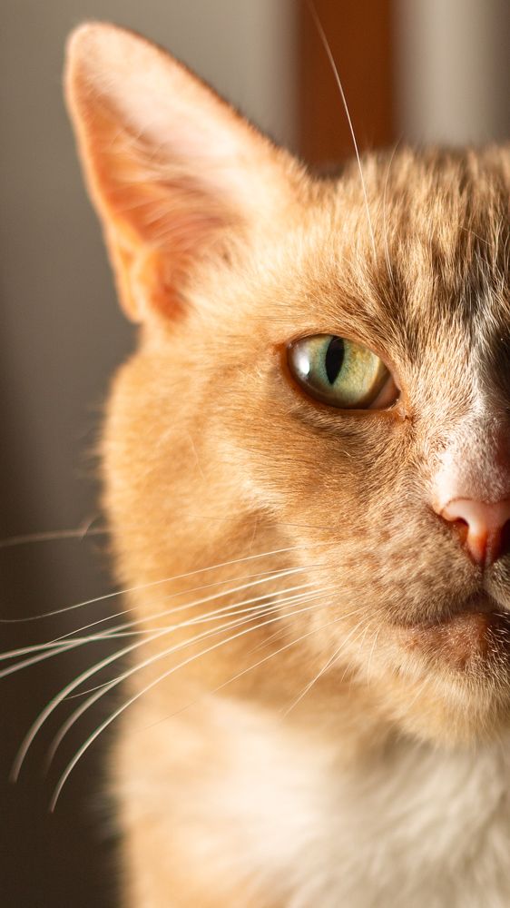 Photograph by Дмитрий Грошиков