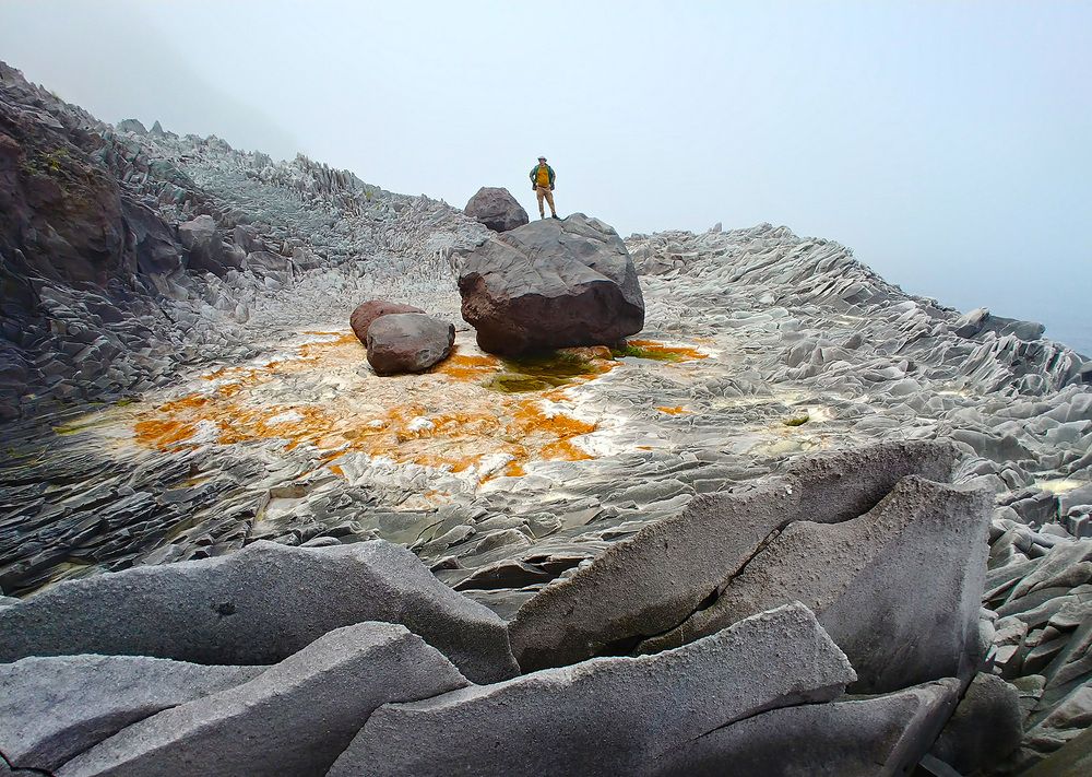 Фотография автора Svetlana