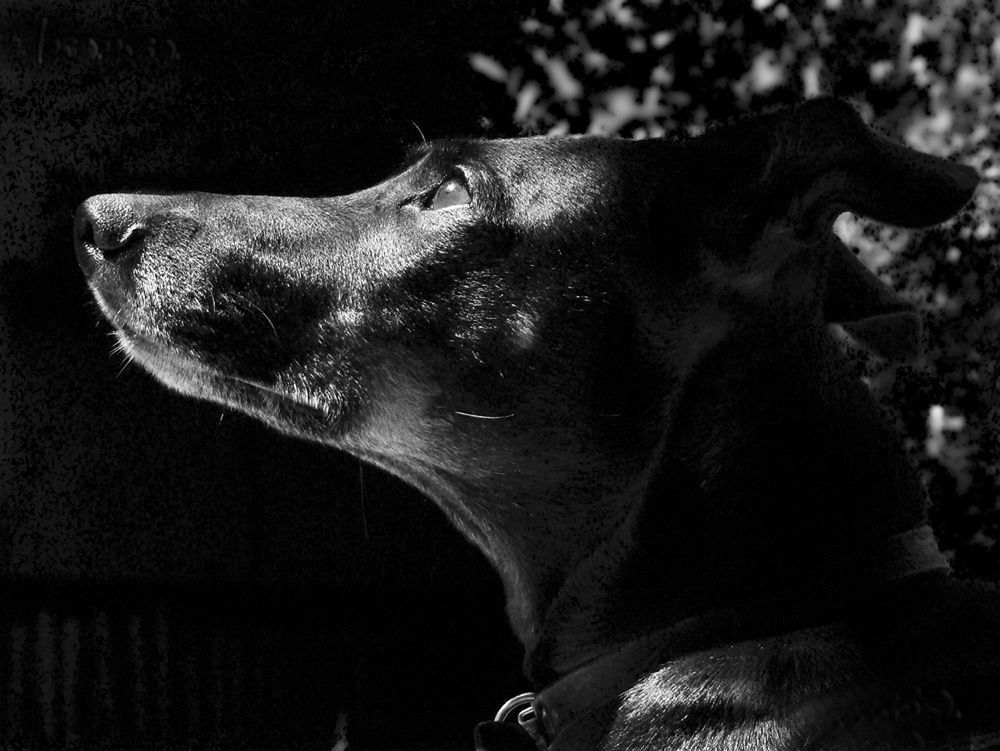 Фотография автора Marina