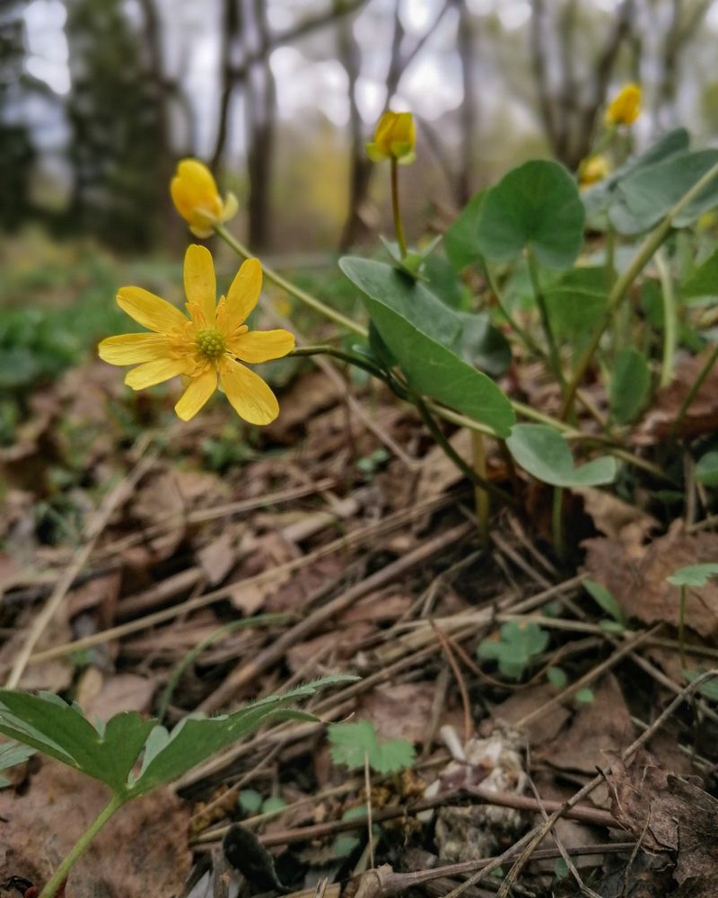 Photograph by Александр Филатов