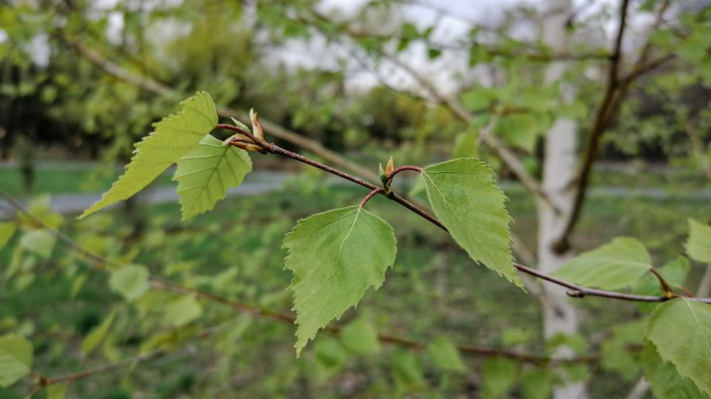 Photograph by Александр Филатов