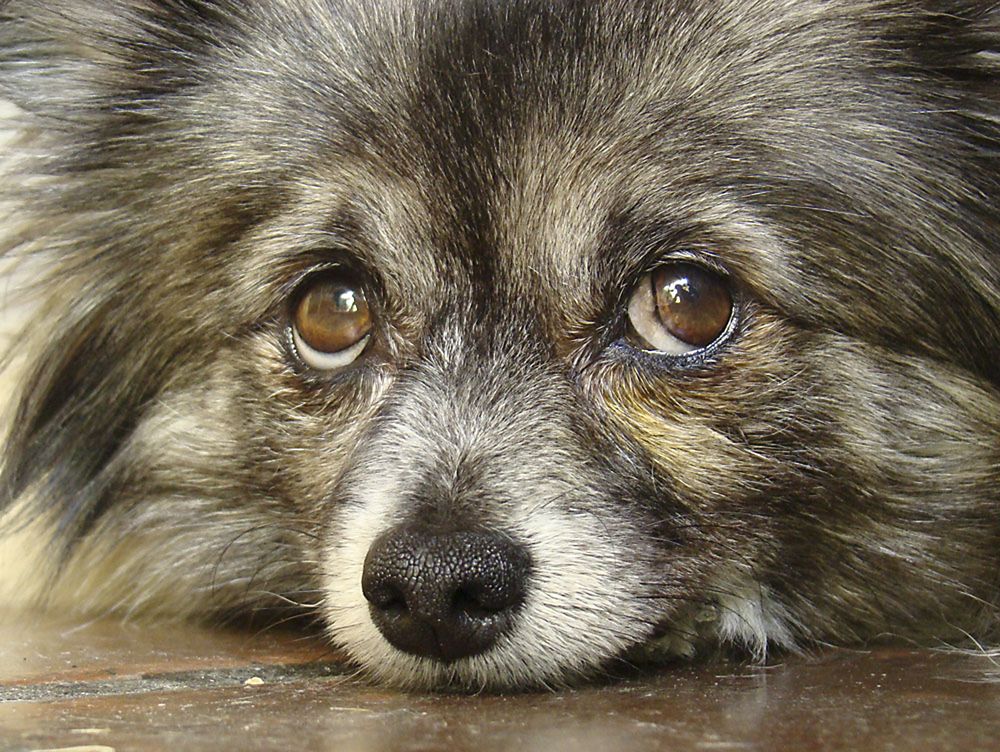 Фотография автора Marina