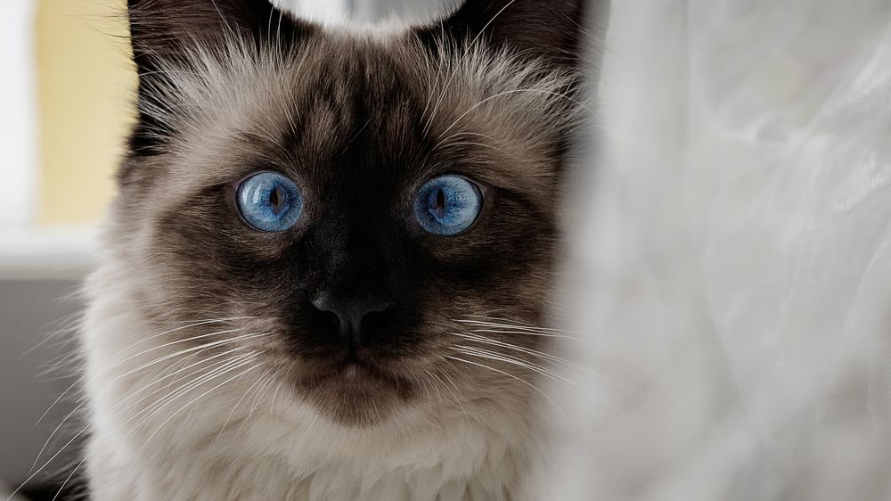 Photograph by Александр Филатов