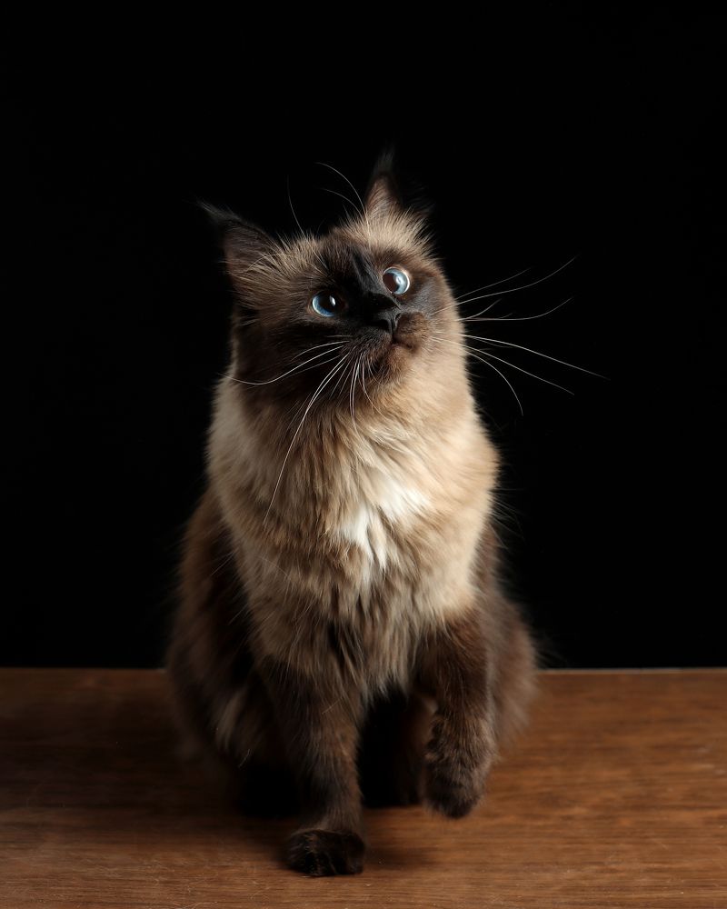 Photograph by Александр Филатов