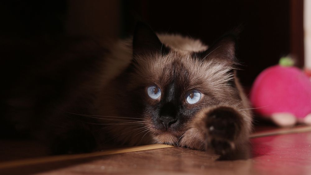 Photograph by Александр Филатов