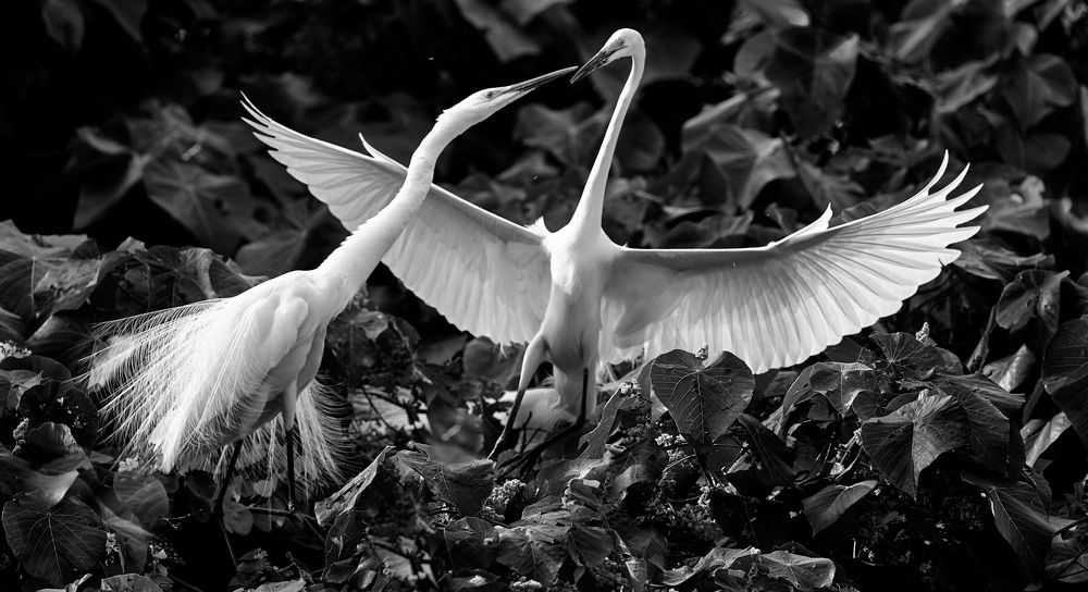 Фотография автора Maurice Leung