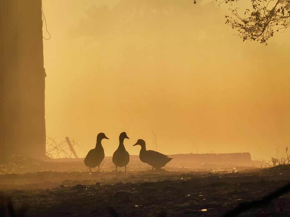 Photograph by Junaid jafar