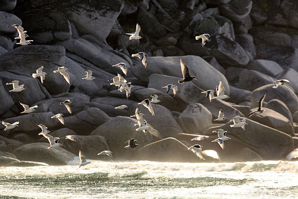 Photograph by Емельянов Саша