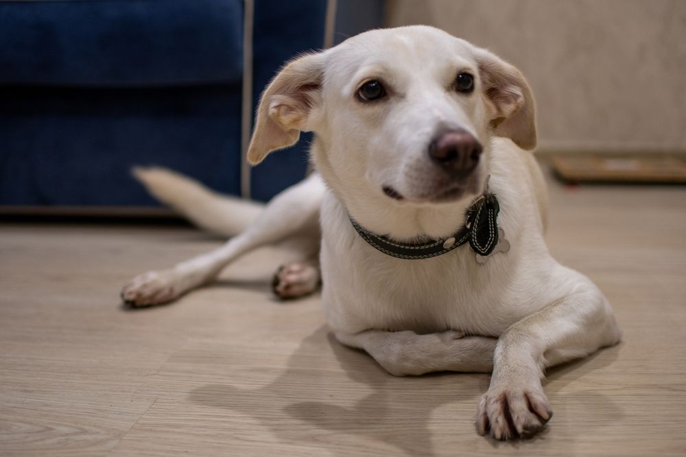 Photograph by Gorodetskiy Konstantin