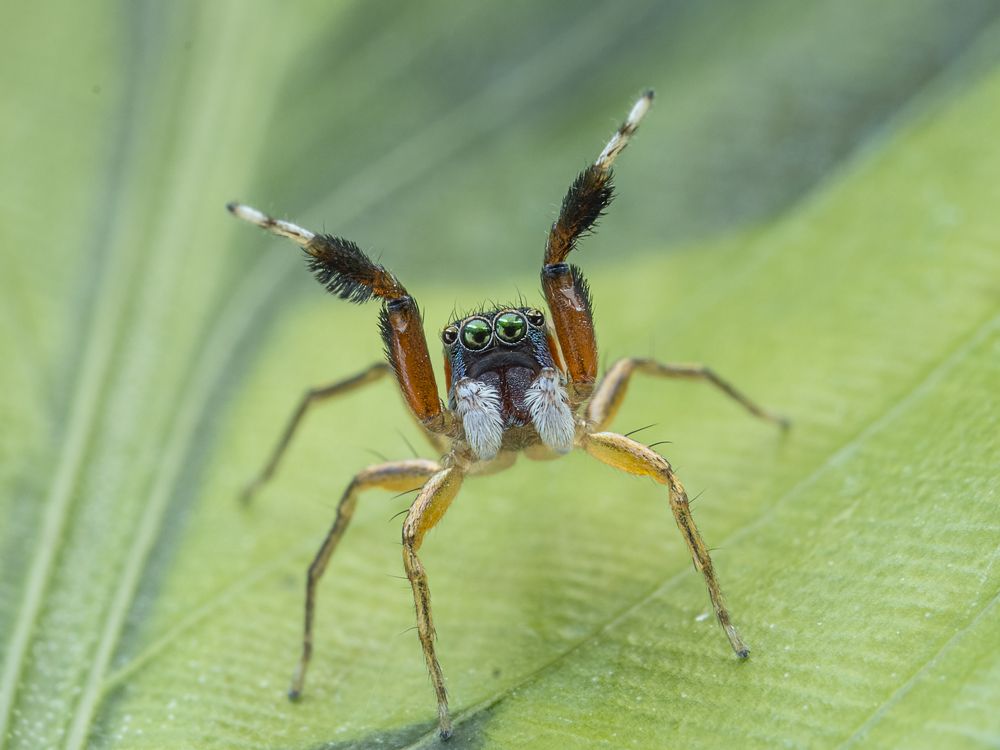 Photograph by Soon Teong Low