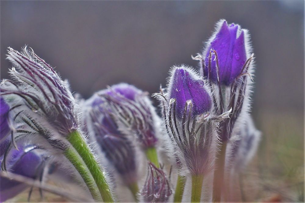 Photograph by Алексей Сиваков