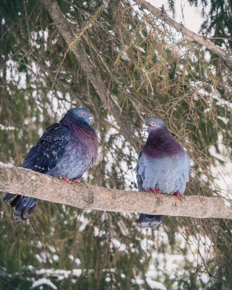Photograph by Дмитрий Поварков