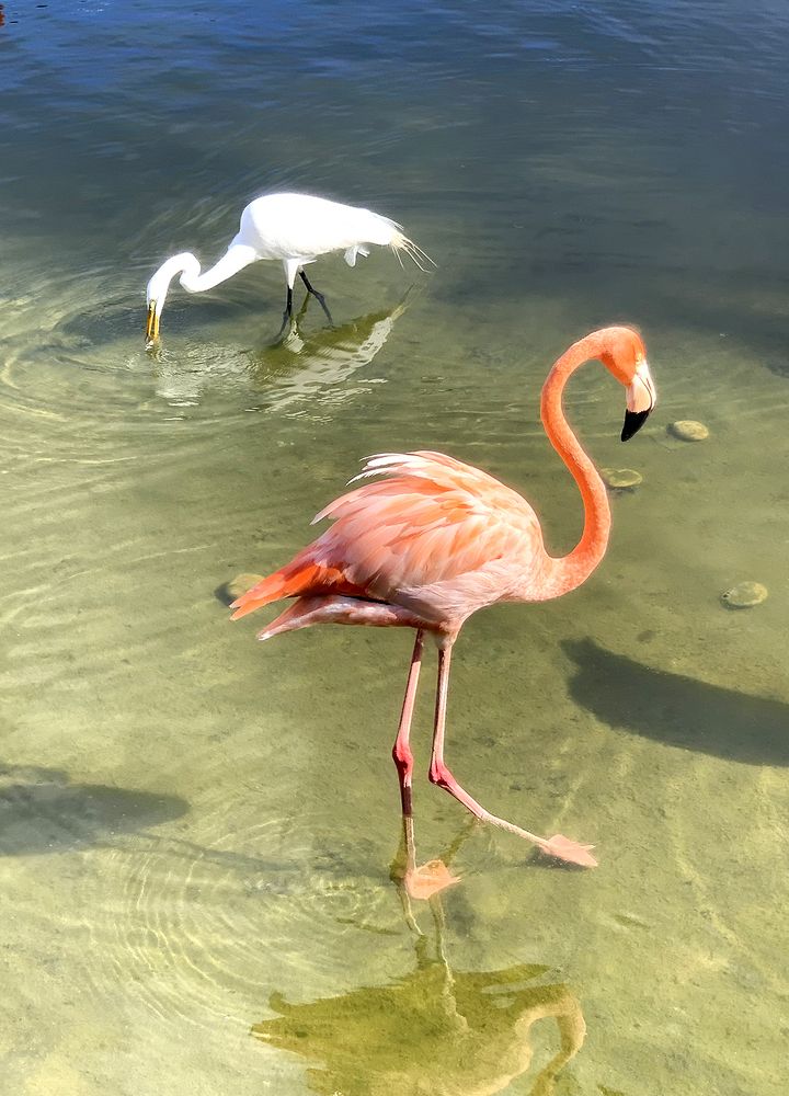 Photograph by Liliana Grup