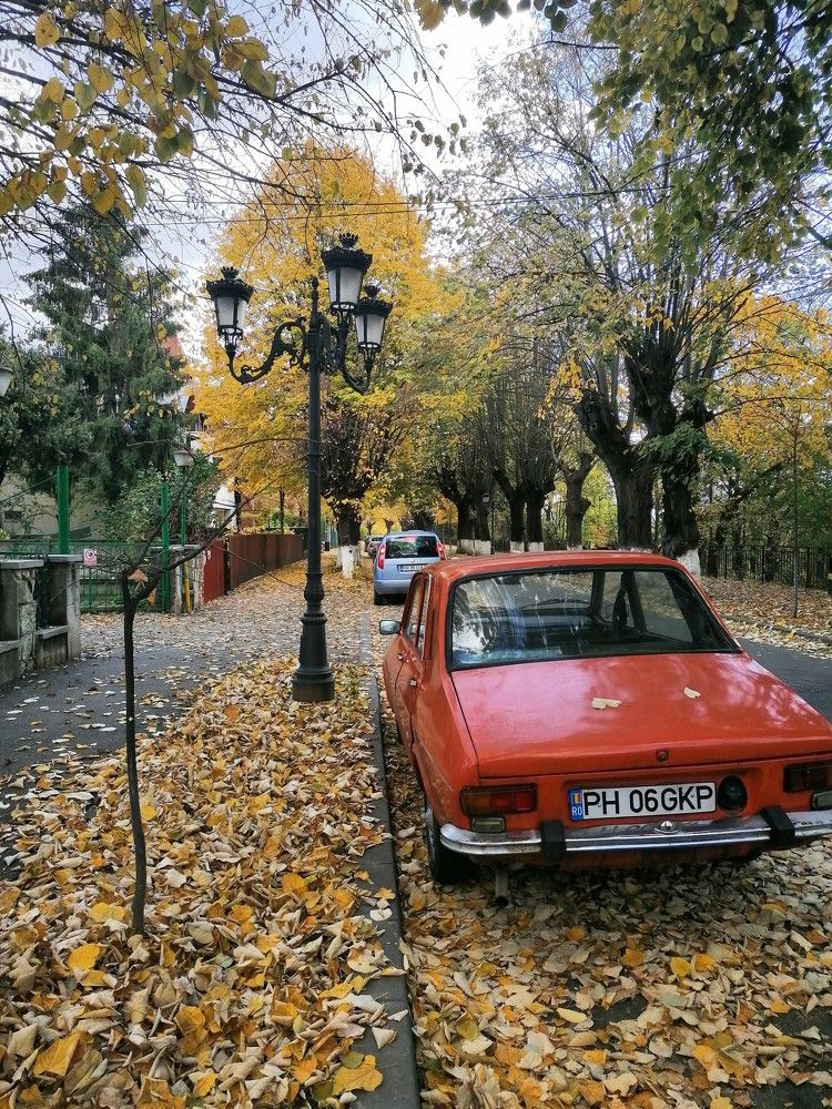 Фотография автора Dan Cucuet