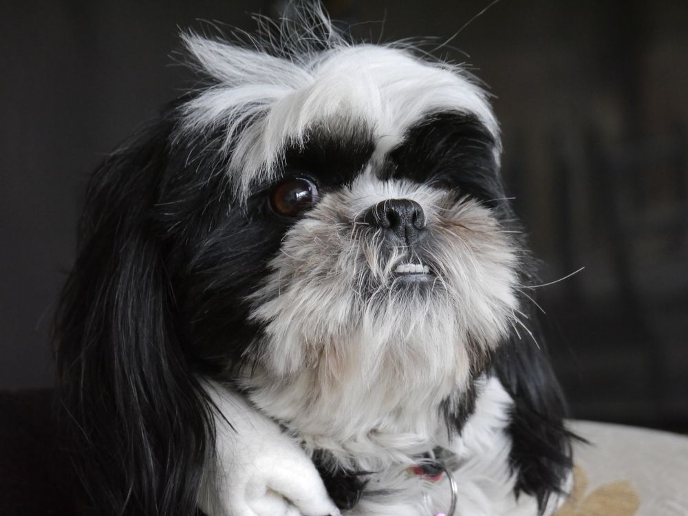 Фотография автора Andrea Stefania Gutiérrez Vélez