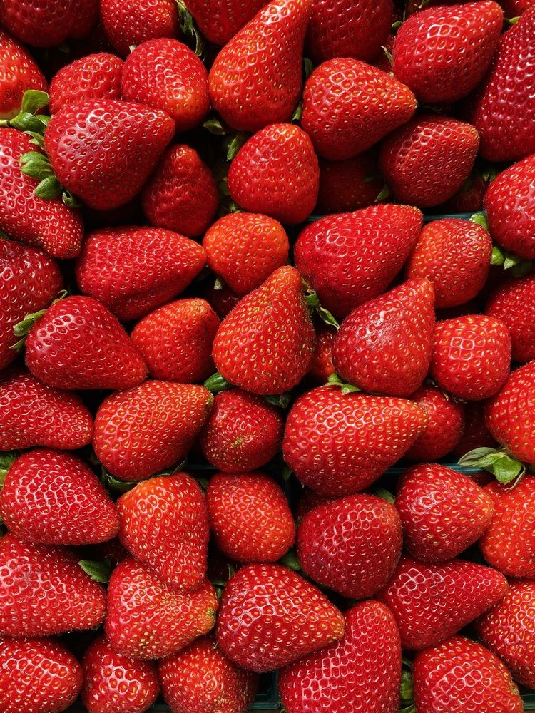 Photograph by Anna Vlasova