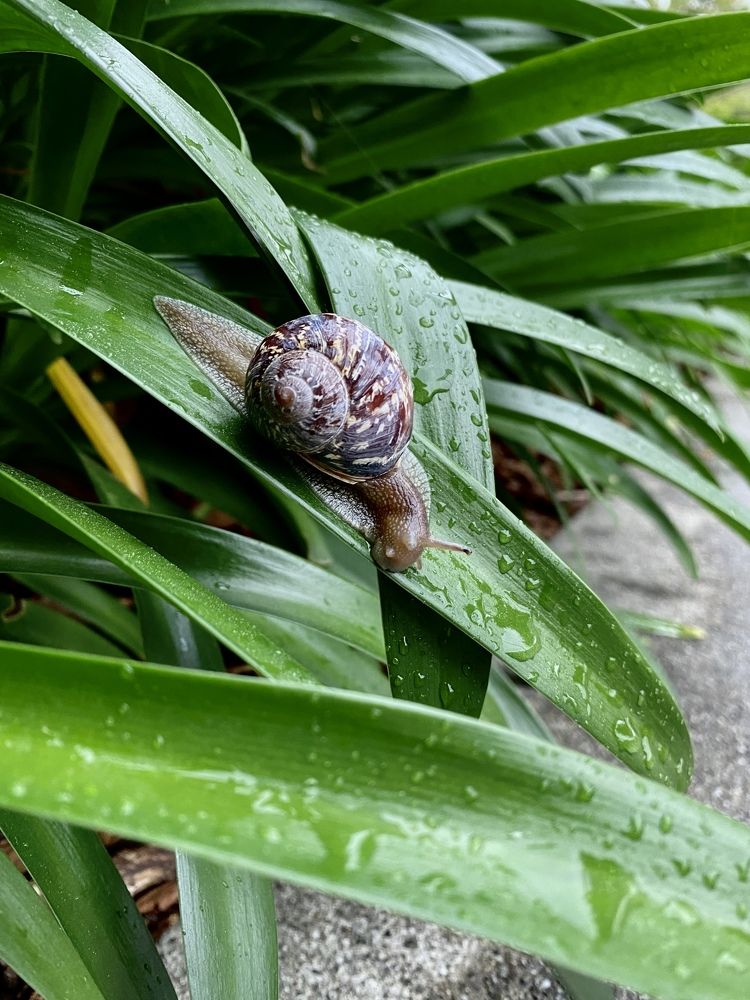 Photograph by Anna Vlasova