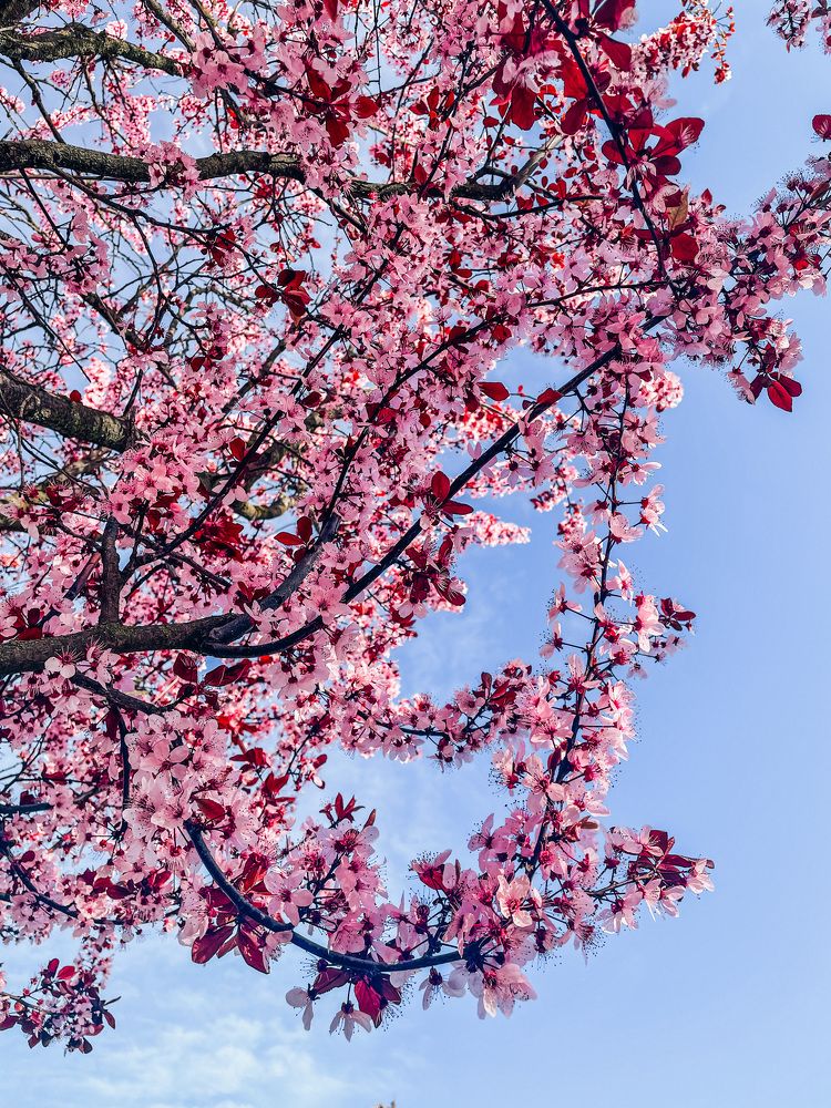 Фотография автора Oxana Yurasova