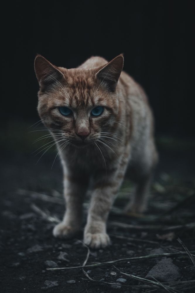 Photograph by Nick Kolosov