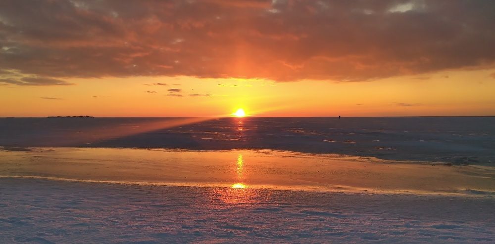 Photograph by Любовь Макарова