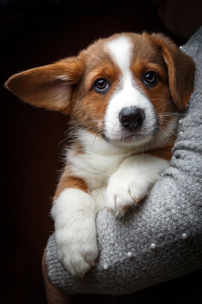 Фотография автора Иван Вострецов