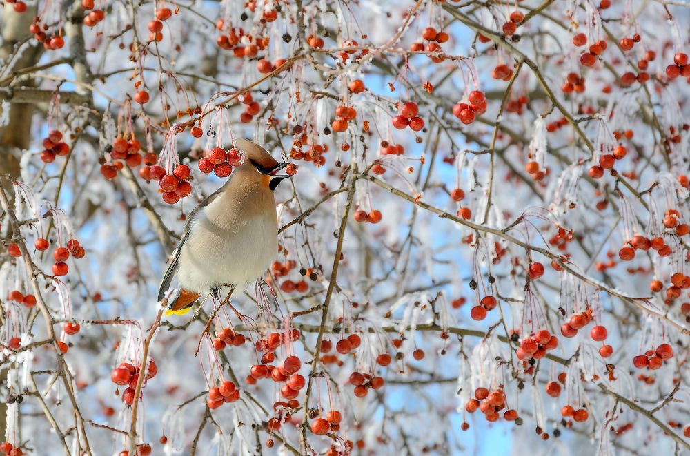 Photograph by Ильдар Валитов
