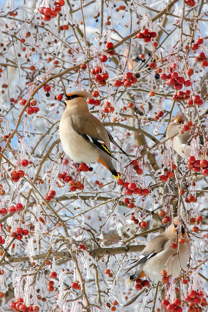 Photograph by Ильдар Валитов