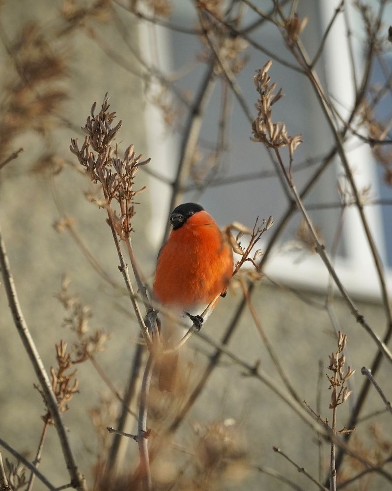 Photograph by Высотских Владимир