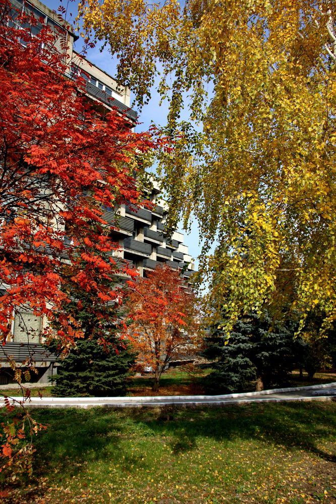 Фотография автора Юрий Звонарев