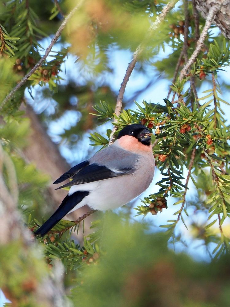 Photograph by Юлия Поршнева