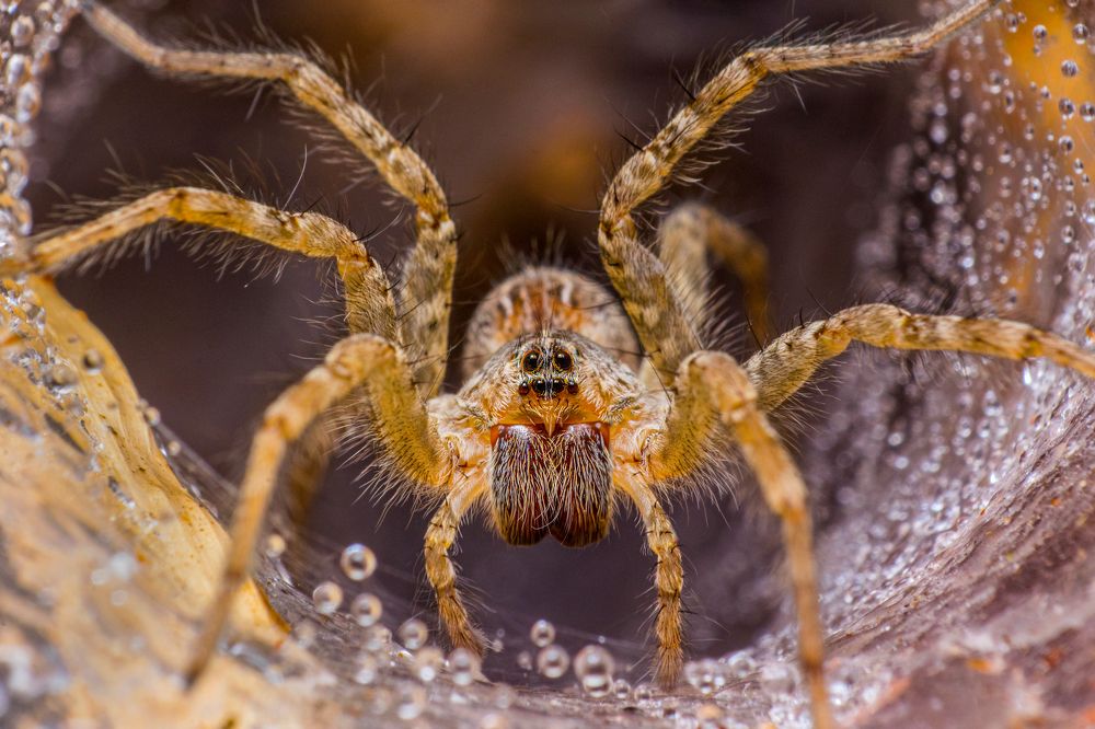 Photograph by  Abhinand R V