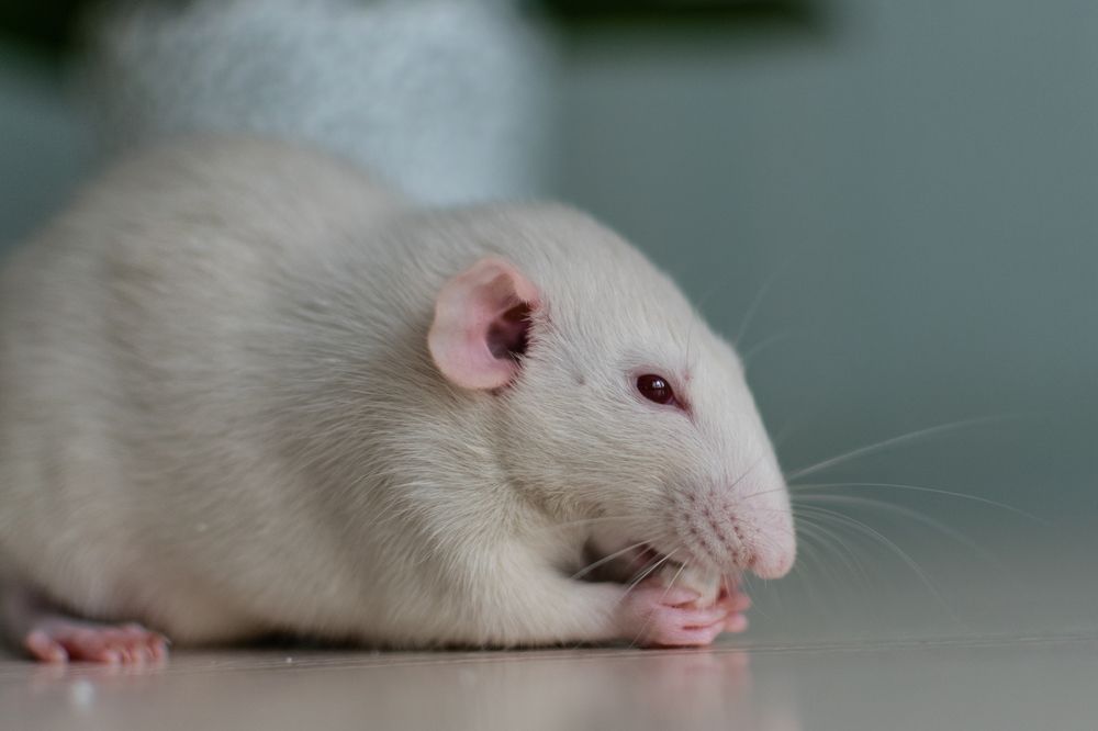 Photograph by Екатерина Абатурова