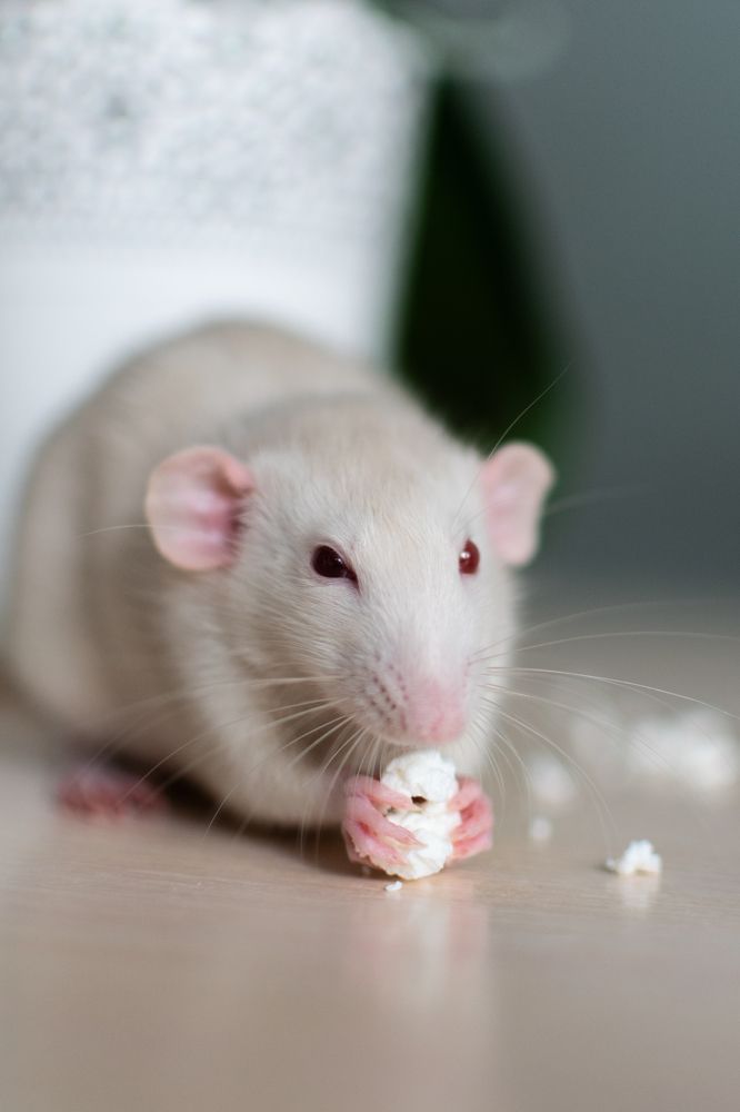 Photograph by Екатерина Абатурова