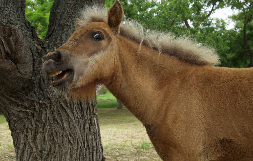 Photograph by Мари