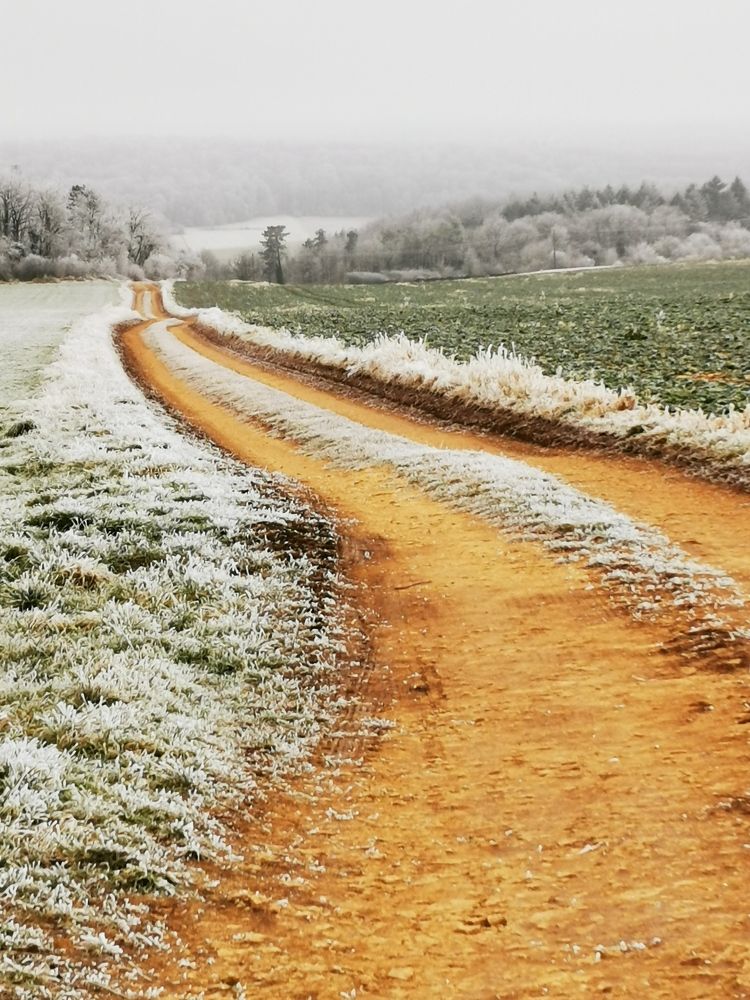 Photograph by Marie-Helene KUHN