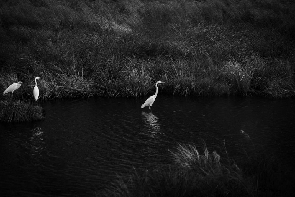 Photograph by Сергей Марков