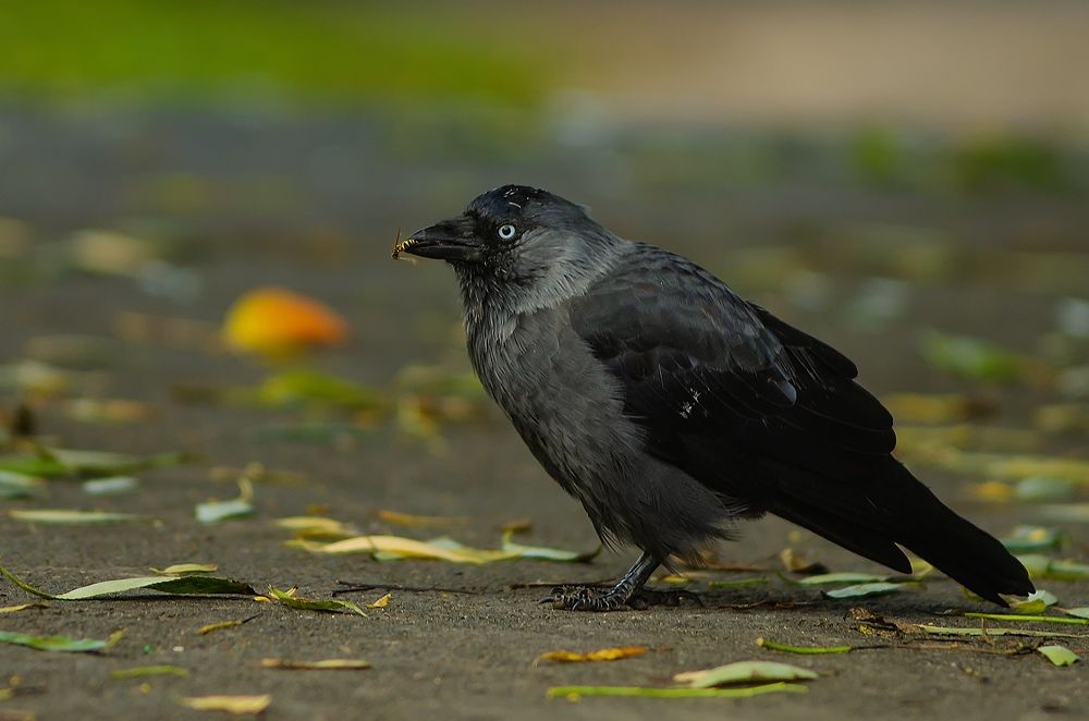 Photograph by Евгения Антонова