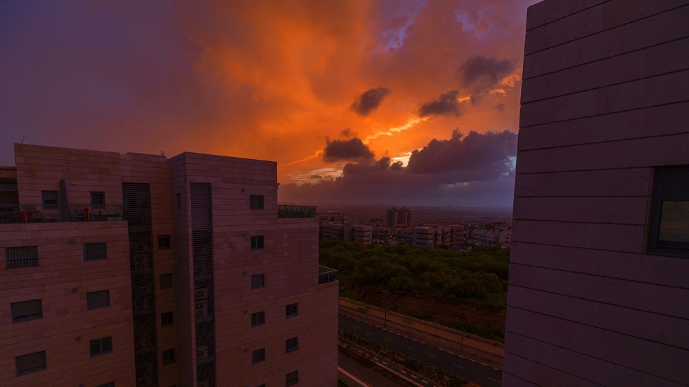 Photograph by Hillel Shatz