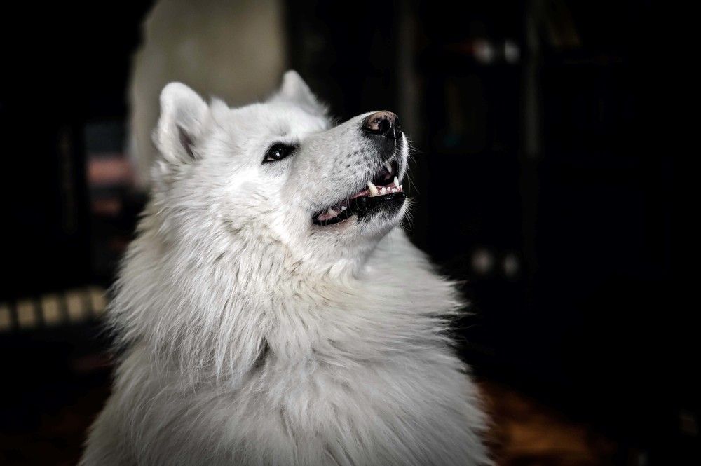 Photograph by Ирина Ри