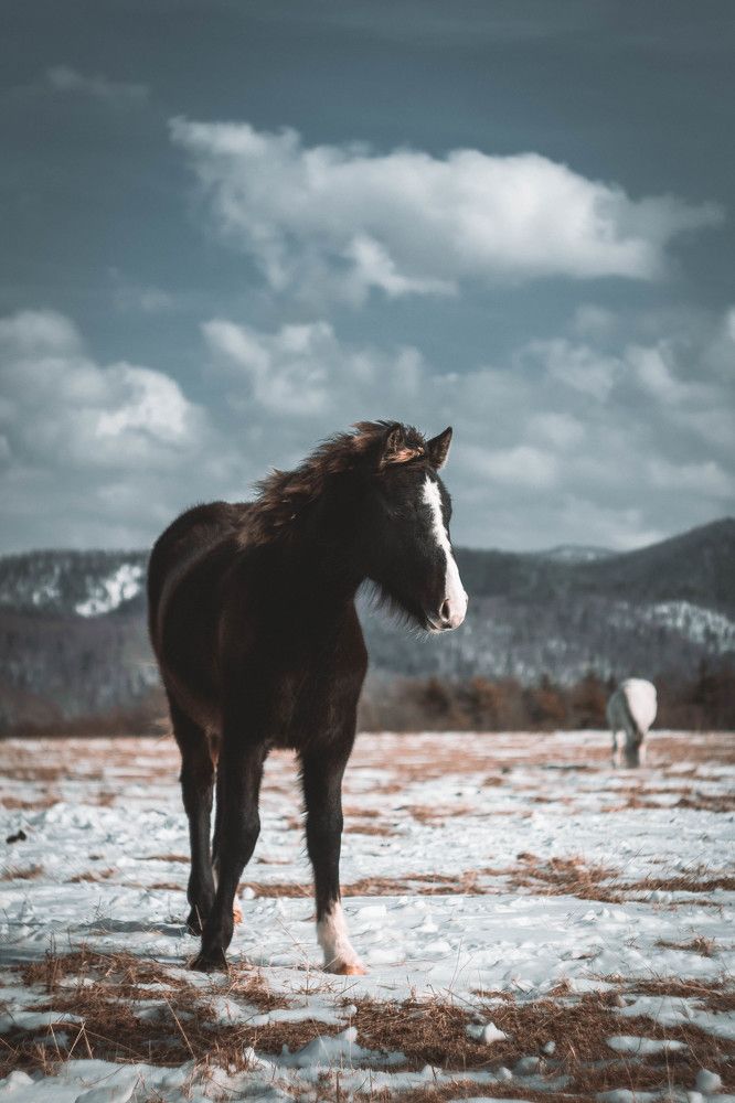 Photograph by Nick Kolosov