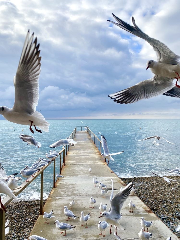 Photograph by Алия Курмангалеева