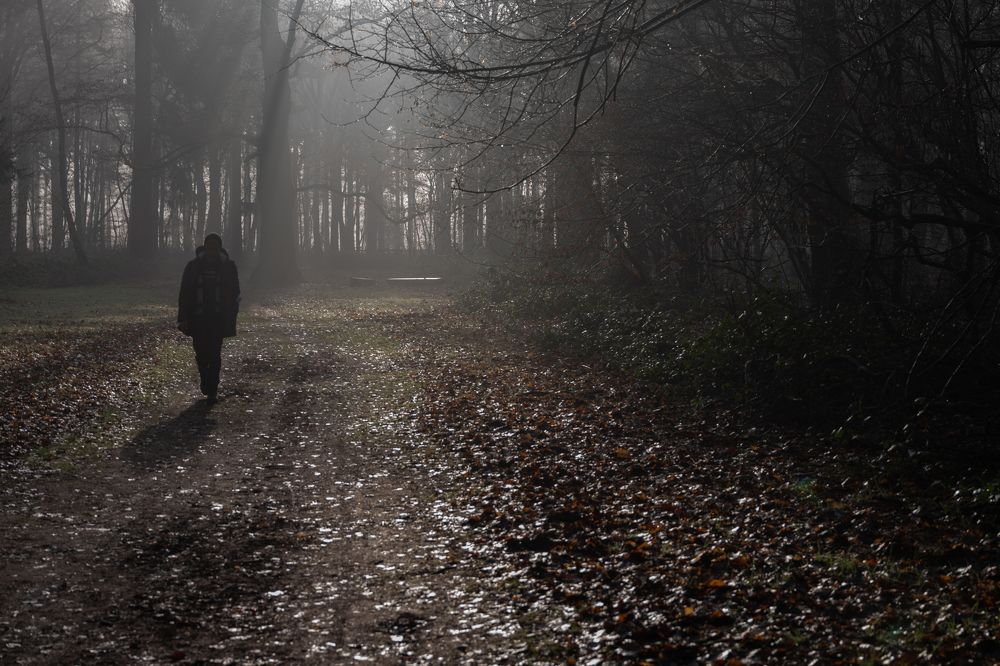 Photograph by Marc Nollet